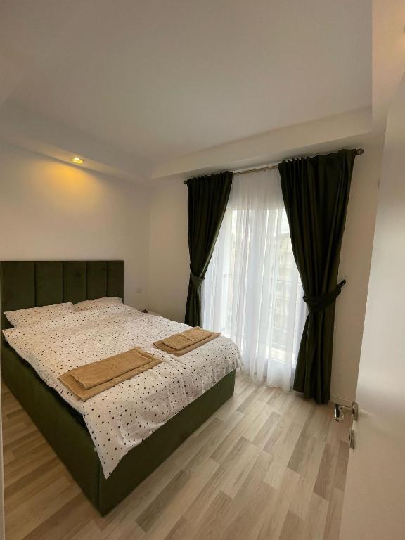 a bedroom with a bed and a window at Studio Ama in Văleni