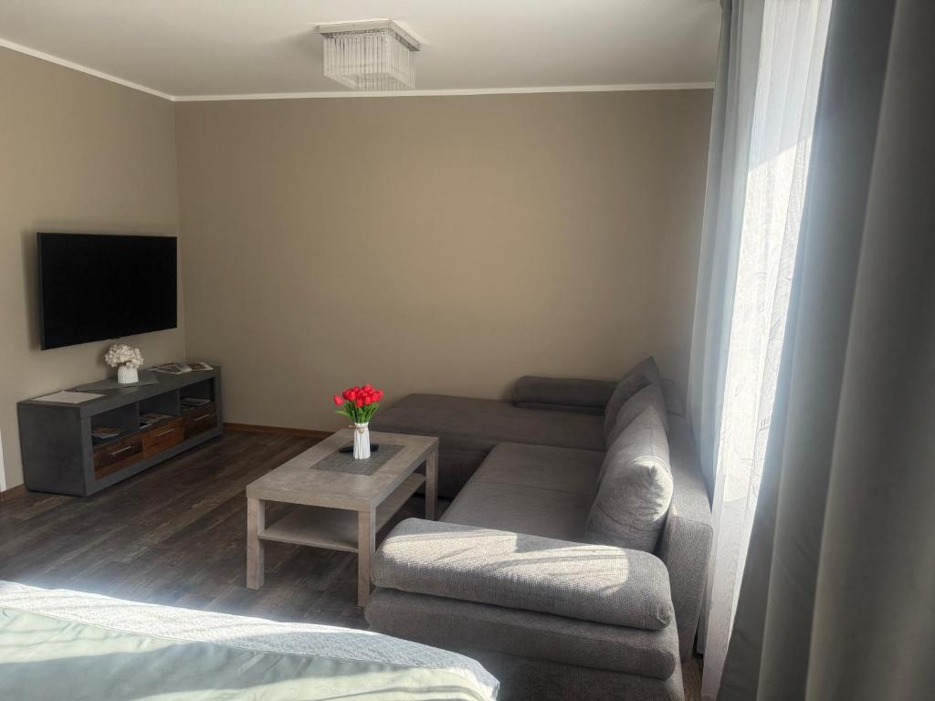 TV a/nebo společenská místnost v ubytování Apartmány Rosijo