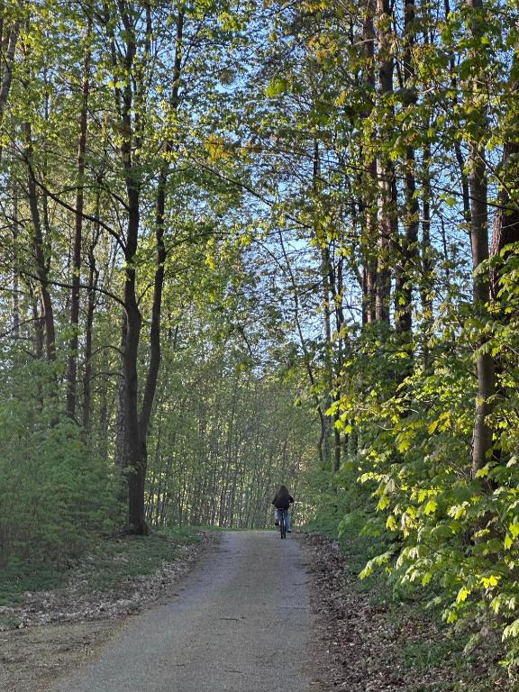 Hostia v ubytovaní Domki nad Szelągiem