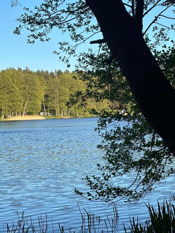 Príroda v okolí chaty v prírode