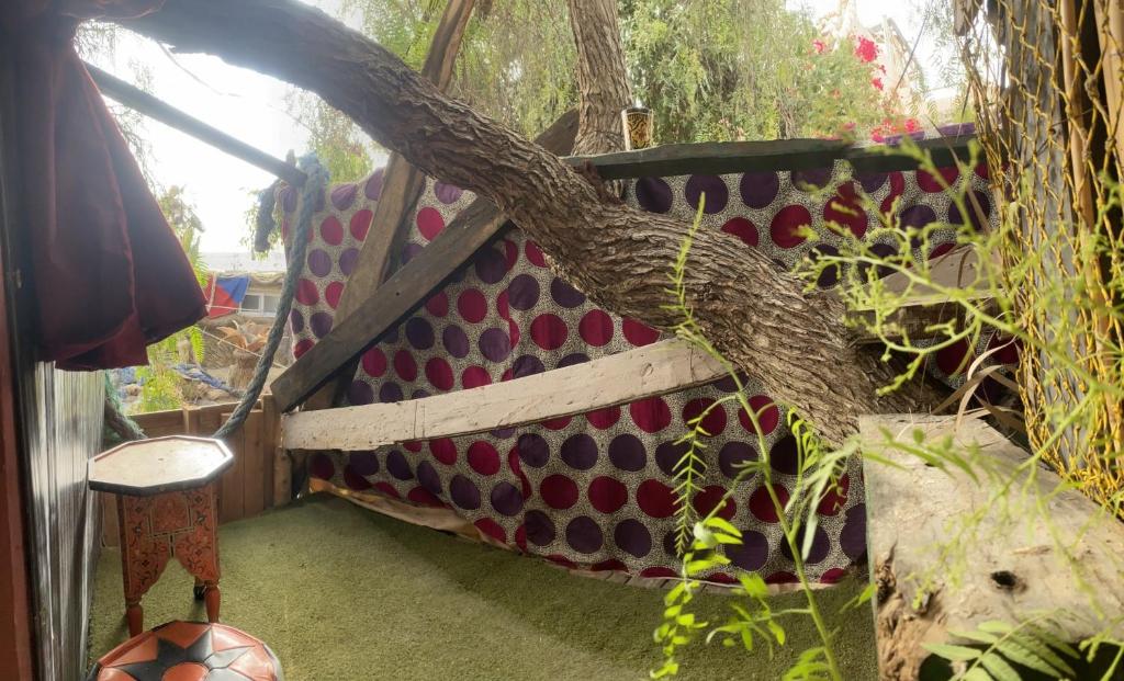 un albero cresce su una panchina in un giardino di Adam's Tree House ad Aourir