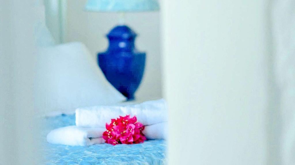 Fotografie z fotogalerie ubytování Villa Boufla v destinaci Agios Ioannis Mykonos
