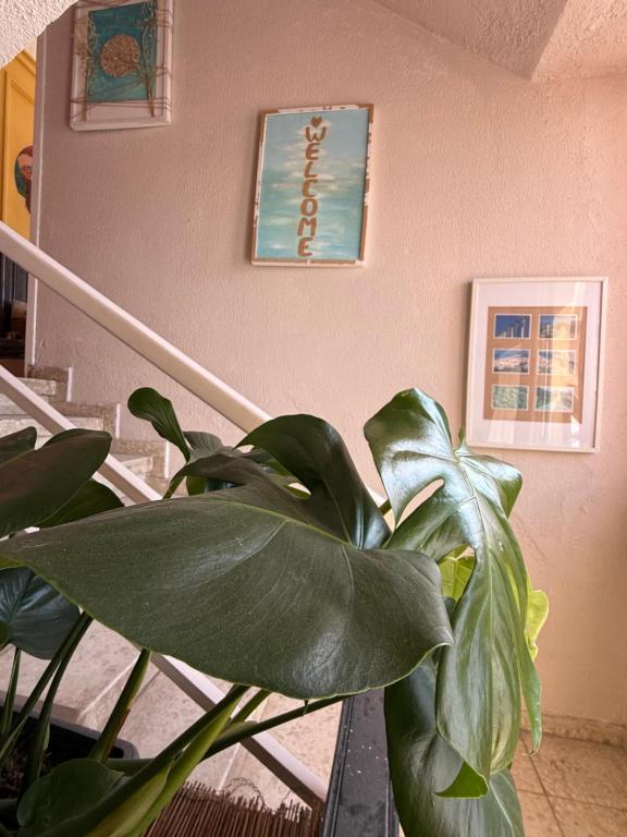Fotografie z fotogalerie ubytování One Love One World Ayia Napa Square Hostel v destinaci Ayia Napa