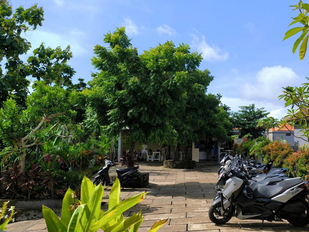 Guest House 88 Pandawa - 18