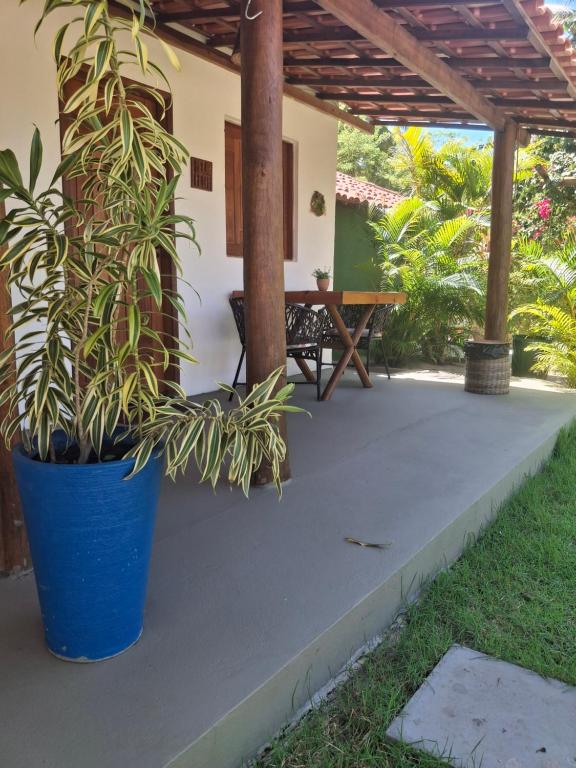 a patio with a table and a potted plant at Recanto Verde - Praia de Santo Antônio in Diogo