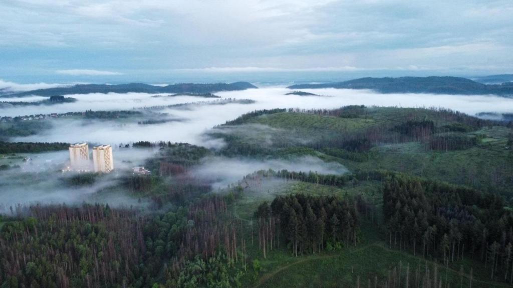 an aerial view of a foggy valley with trees at App 362 Panoramic Hohegeiß in Braunlage