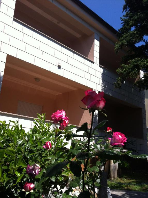 Zahrada ubytování Villa Marija
