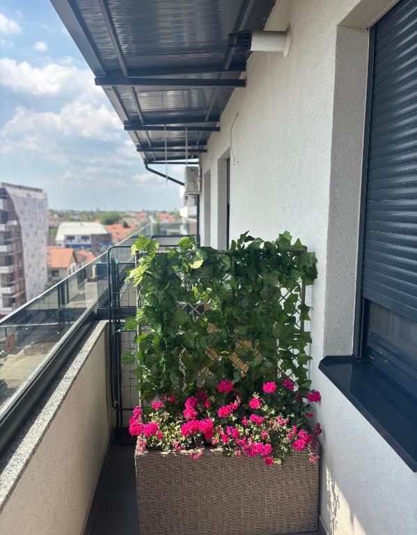 Balkón nebo terasa v ubytování Apartman Idila