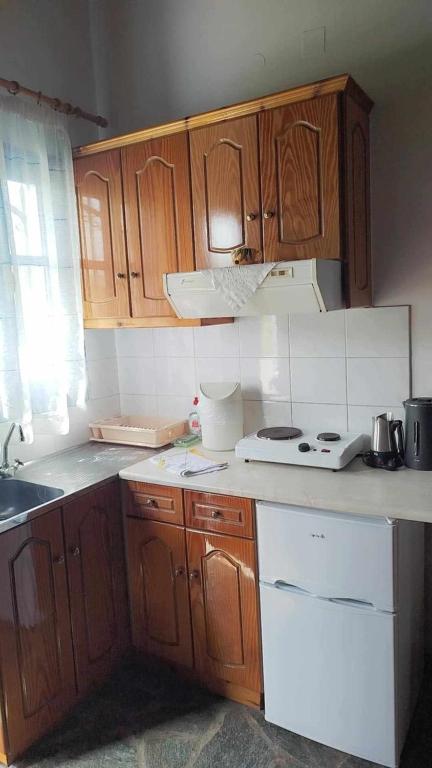 Kuchyň nebo kuchyňský kout v ubytování Anna Daniil Oasi Studios Skala Kallonis Lesvos