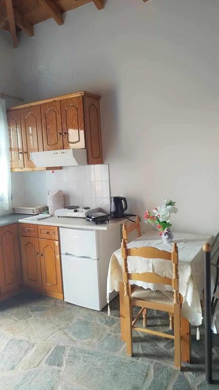Kuchyň nebo kuchyňský kout v ubytování Anna Daniil Oasi Studios Skala Kallonis Lesvos