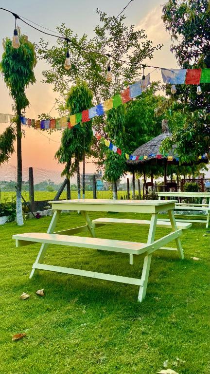 a picnic table sitting in the grass with a string at Hotel Tree Tops- A Serene Friendly Hotel in Sauraha in Chitwan