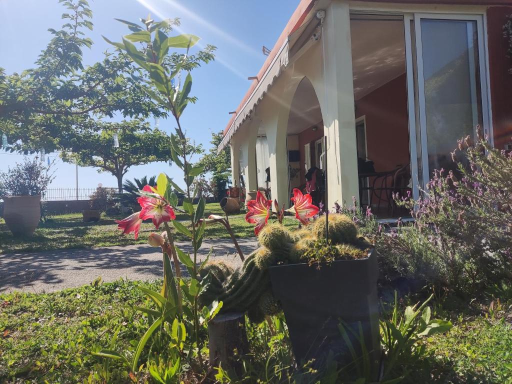 Vrt pred nastanitvijo Sun N Sand