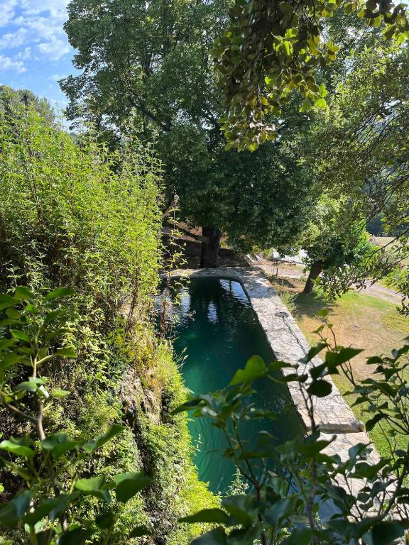 une petite piscine d'eau dans un champ arboré dans l'établissement Large house in Cotignac Bastide Saint-Martin, à Cotignac