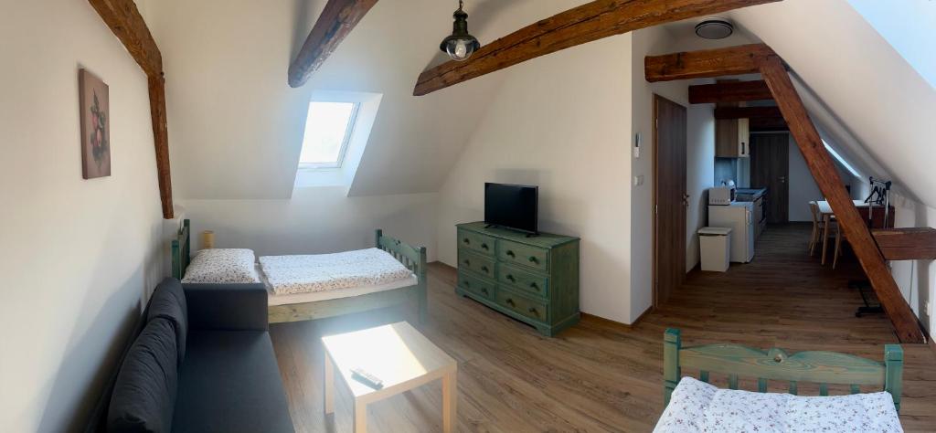TV a/nebo společenská místnost v ubytování Apartmány Statek Bezdědice