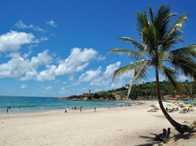 ein Strand mit einer Palme und Menschen darauf in der Unterkunft Chalé aconchegante in Cabo de Santo Agostinho