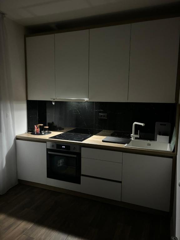 Kuchyň nebo kuchyňský kout v ubytování Apartman Idila
