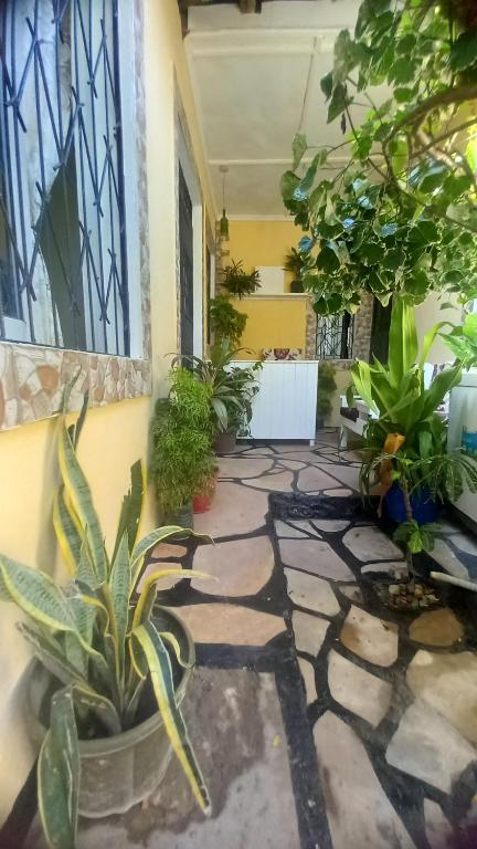 Giardino di Mount Zion Guest House, Mtwapa Mtomondoni