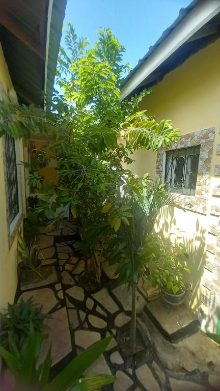 Giardino di Mount Zion Guest House, Mtwapa Mtomondoni