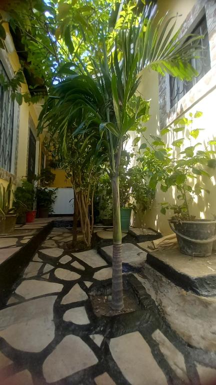 Giardino di Mount Zion Guest House, Mtwapa Mtomondoni