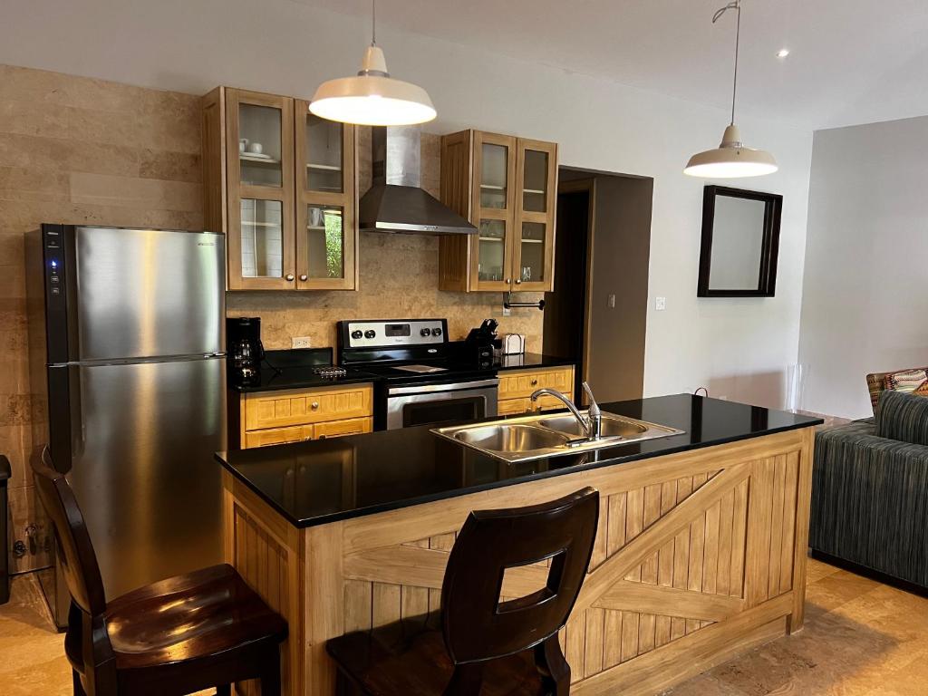 Kuchyň nebo kuchyňský kout v ubytování Paseo Suites El Valle, Luxury Apartments