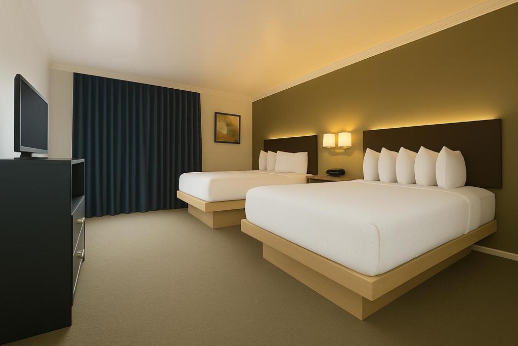 The Live Hotel photo