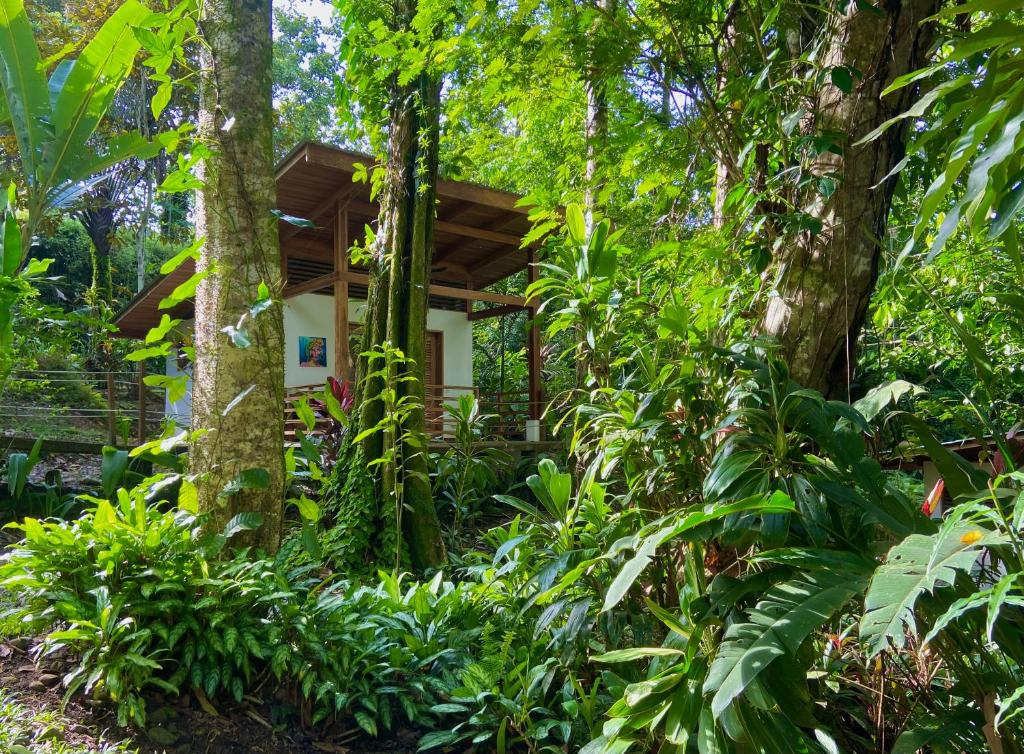 Un jardín fuera de Satta Lodge