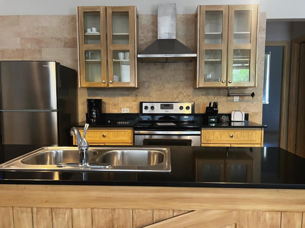 Kuchyň nebo kuchyňský kout v ubytování Paseo Suites El Valle, Luxury Apartments