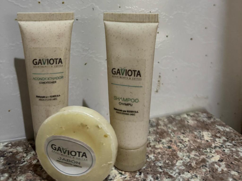 Gaviota Apartments & Suites - アパート