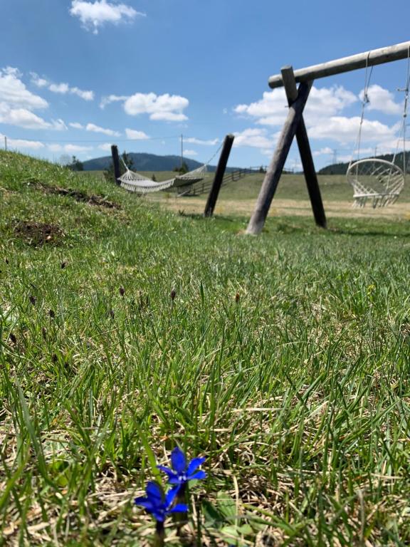 Priroda u blizini vikendice