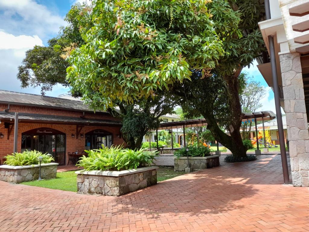 Zahrada ubytování Paseo Suites El Valle, Luxury Apartments