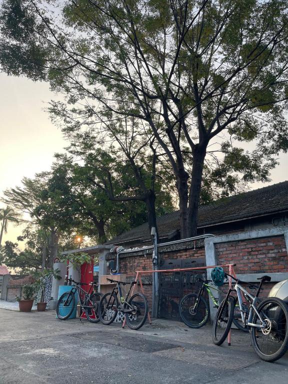 Jízda na kole v ubytování Sunrise Bike Inn nebo okolí