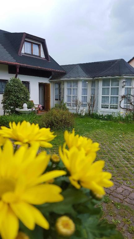 Zahrada ubytování Pension Elbrs