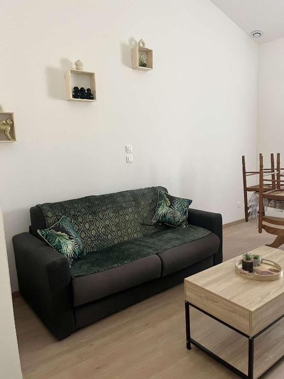un salon avec un canapé et une table basse dans l'établissement Appartement douzens, à Douzens