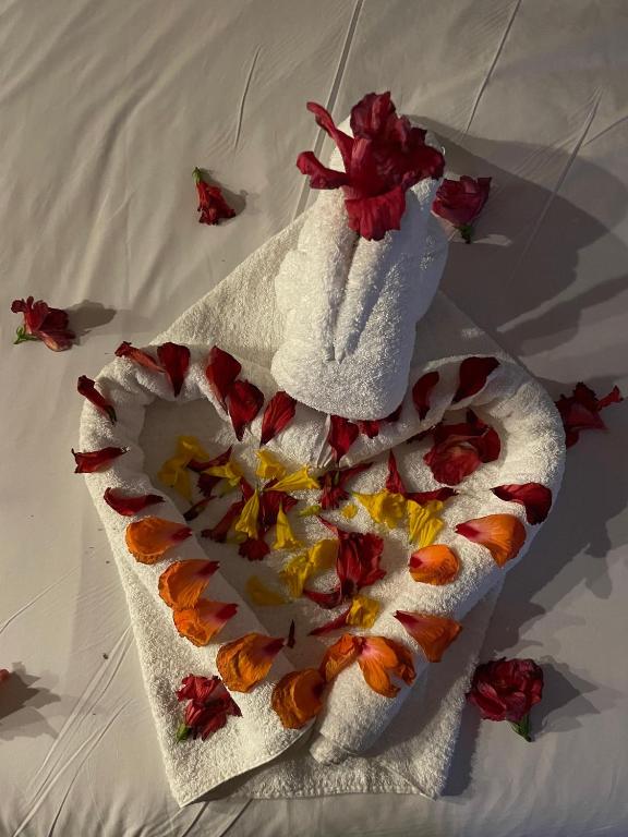 HOTEL Vitan273 - Resim 4