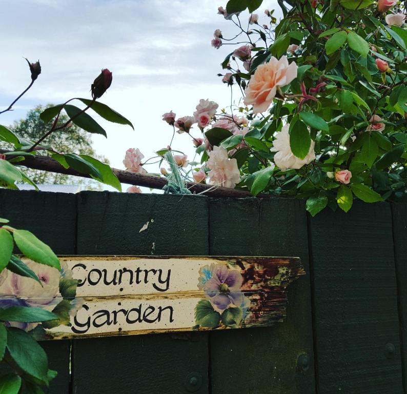 Zahrada ubytování Dragonflycottagebnb