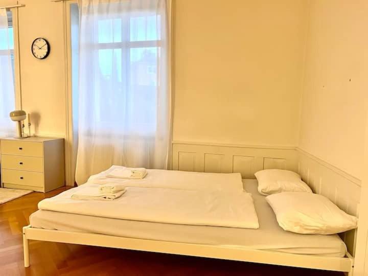 Amazing Apartments, heart of Zurich Old Town Glocken - Self Checkin - Resim 23