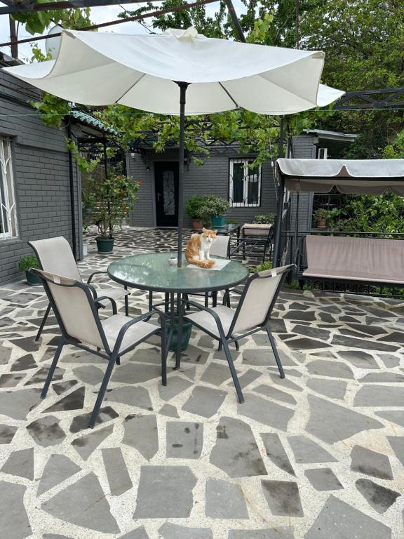 Patio nebo venkovní prostory v ubytování Apartment Lui