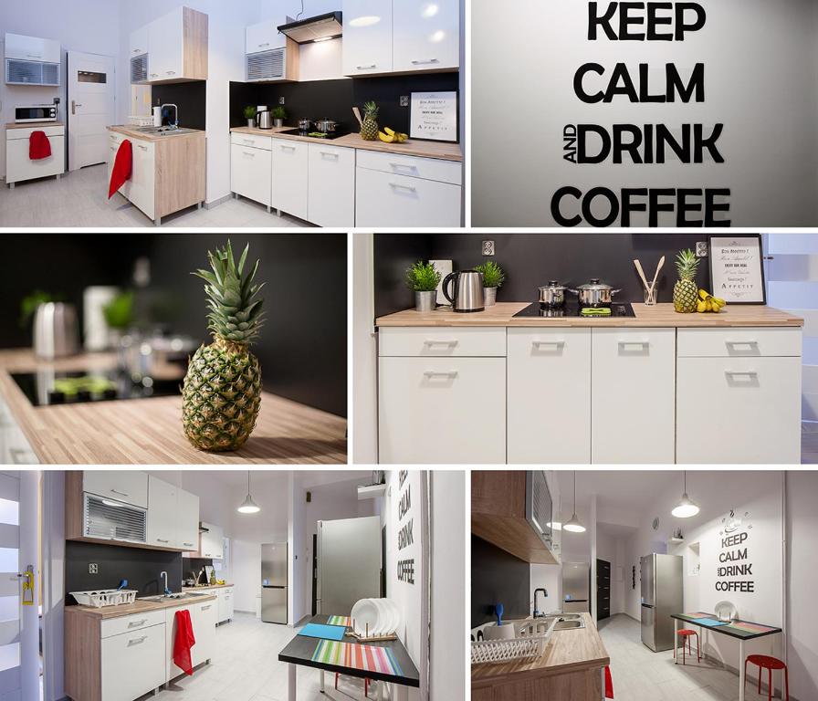 Kuchyň nebo kuchyňský kout v ubytování APARTMENT ROOMS CENTRUM noclegi STRUGA