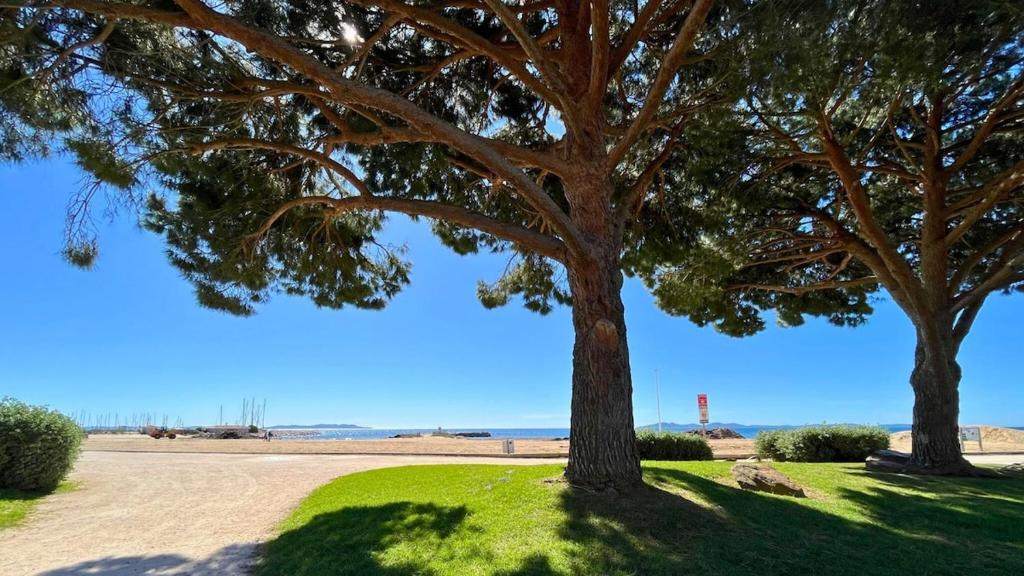 deux arbres dans un champ herbeux avec l’océan à l’arrière-plan dans l'établissement Isles Évasion-parking-100M plages-commerces, à La Londe-les-Maures