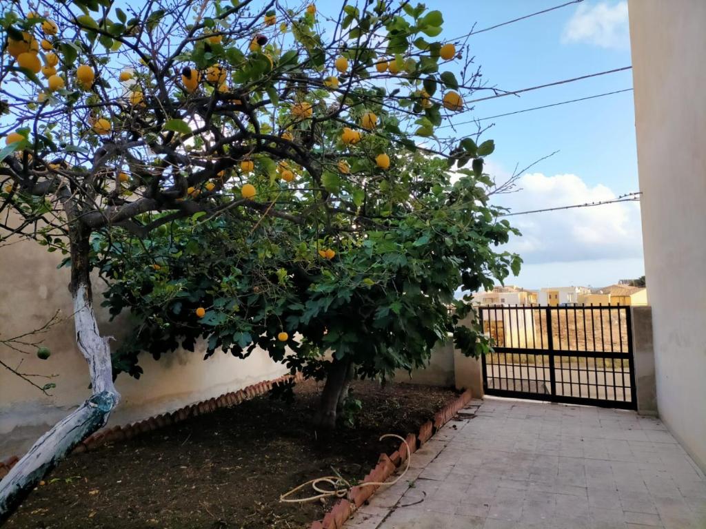 Fotografie z fotogalerie ubytování Il Patio - Villa indipendente con ampio cortile e giardino interno v destinaci Sampieri