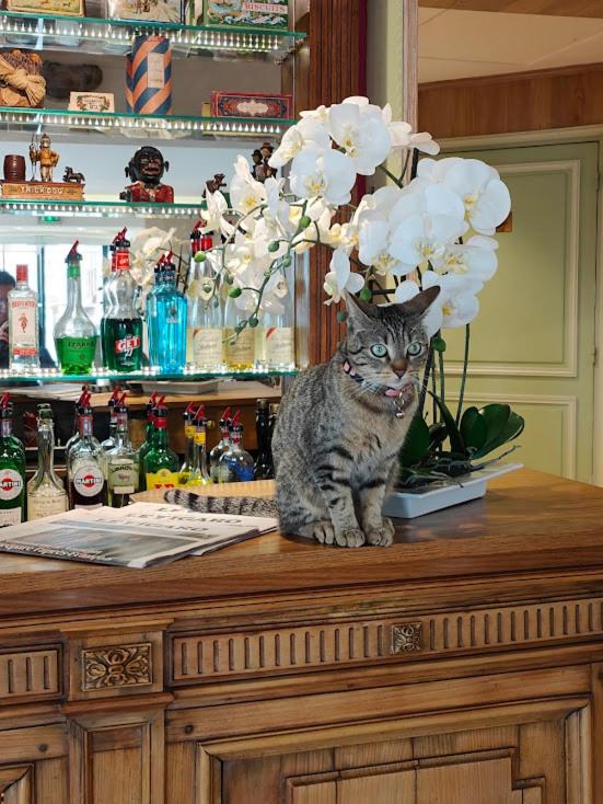 Le Relais Médicis - Resim 25