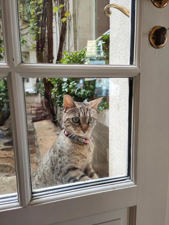 Le Relais Médicis - Resim 39