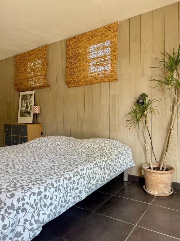 - une chambre avec un lit et deux plantes en pot dans l'établissement Séjour détente en Provence, à Valensole