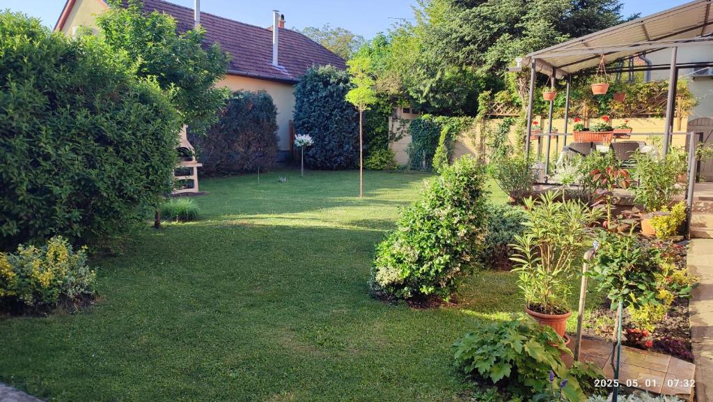 Vonkajšia záhrada v ubytovaní ENZO Apartman Gyula