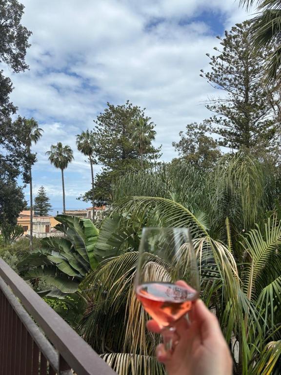 a person holding a glass of wine on a balcony at BM Flowers in Tropea