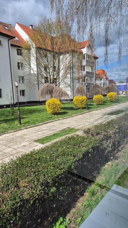 a building with a tree in the middle of a street at Tudor Central Apartment in Bistriţa