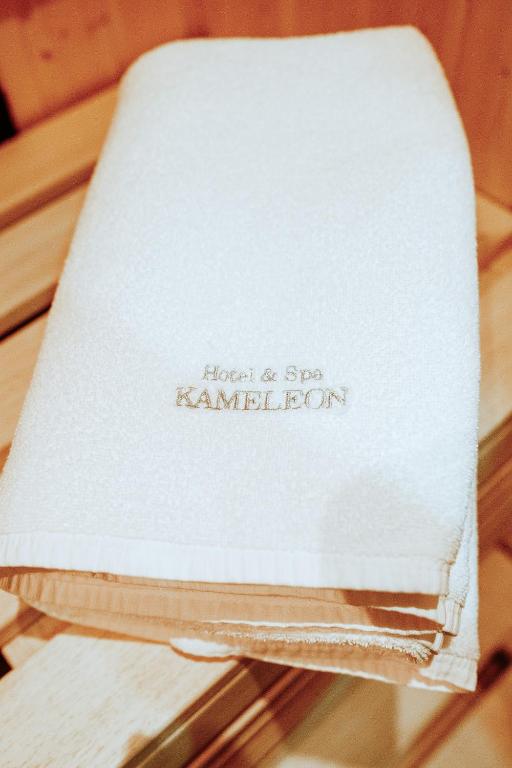 Fotografie z fotogalerie ubytování Hotel&Spa Kameleon v destinaci Żory