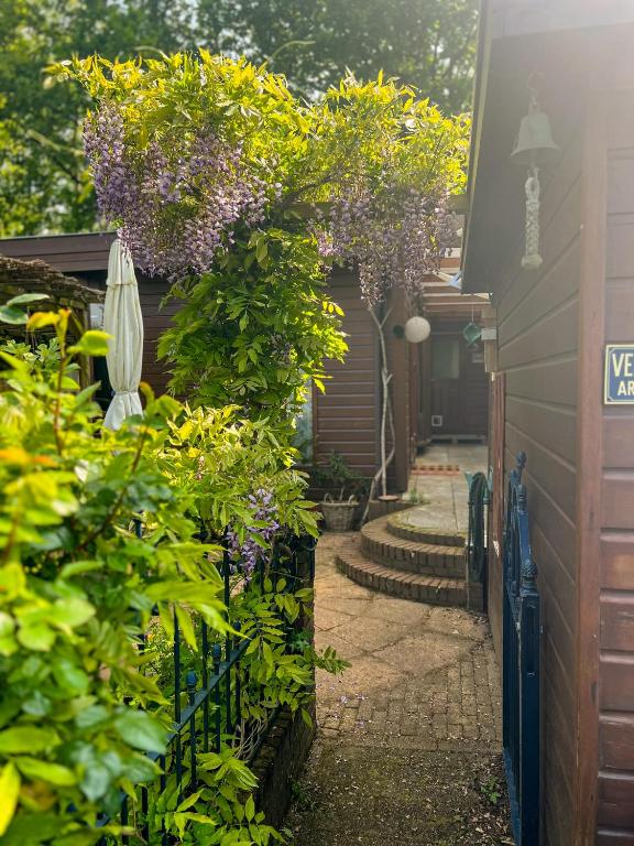 a garden with purple flowers and a fence at Boshuisjes Veluwe Lila met omheinde tuin in Putten