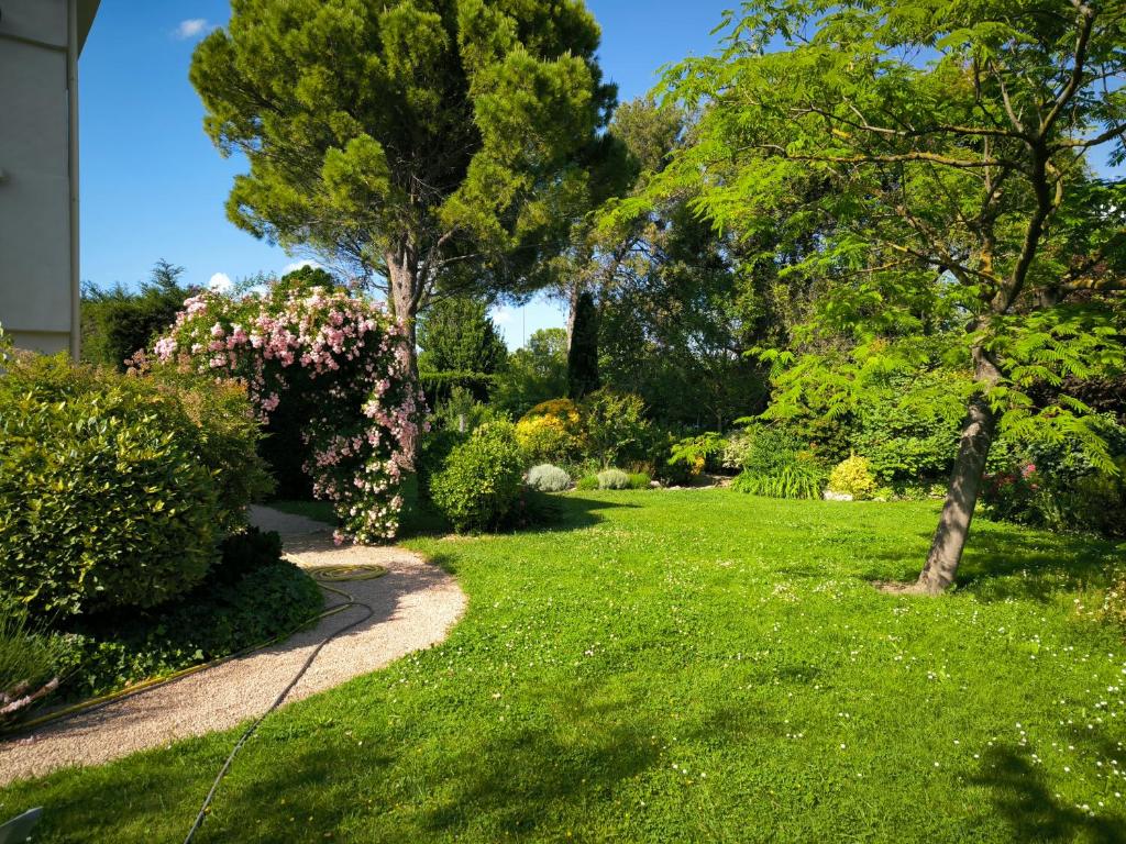 un jardin avec de l'herbe et des arbres verdoyants et un chemin dans l'établissement CastelBox Nature Accès direct IntraMuros, à Avignon