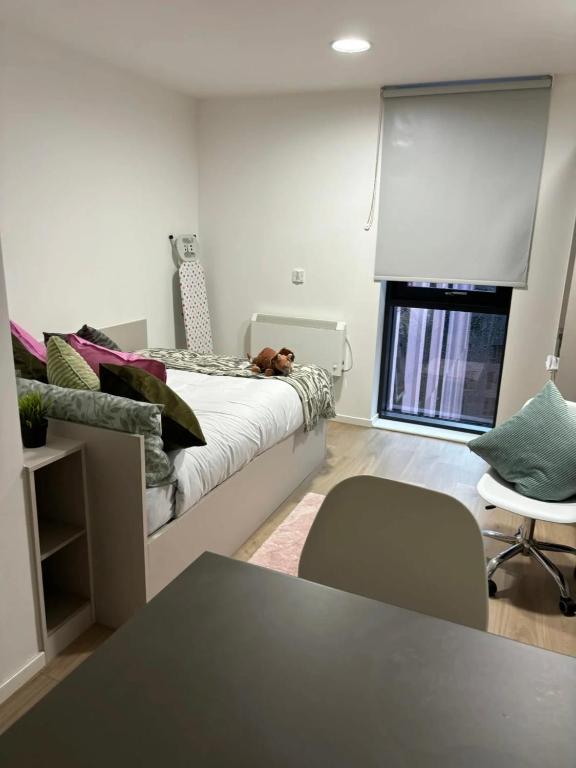 For Students Only Private Bedrooms with Shared Kitchen at Bagot Street in Birmingham - 